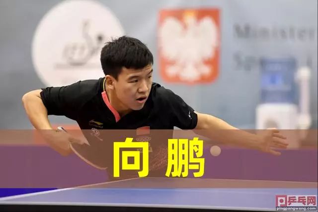 乓球领域的